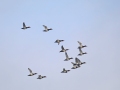 788A7378--25-02-24