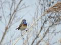 01-DSC2725-