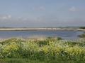 15-DSC06632-