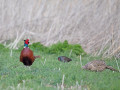 788A4576-