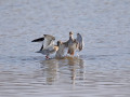 788A0705-