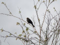05-DSC01674-