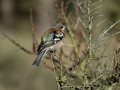 20-DSC02806-
