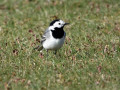 26-DSC02882-