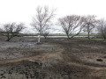 28-DSC03331-