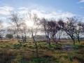 16-DSC09729-