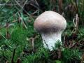 17-DSC09552-