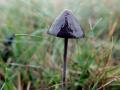 24-DSC09548-