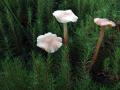 29-DSC09409-