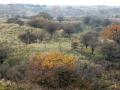 31-DSC05240-