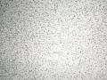 02-DSC01743-