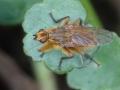 06-DSC01794-