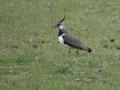 10-DSC01824-