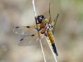 20-DSC01403-