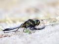 24-DSC01987-