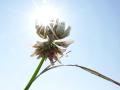 25-DSC01995-
