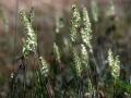 28-DSC02148-