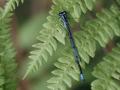 32-DSC01502-