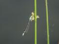 33-DSC02116-