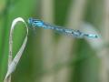 34-DSC07062-