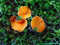 02-DSC00896-