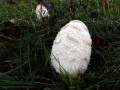 03-DSC00816-
