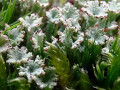06-DSC00942-