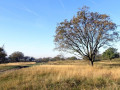 09-DSC00828-