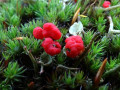 10-DSC00872-