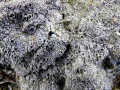 14-DSC00054-