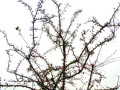 19-DSC00957-