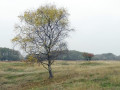 21-DSC00903-