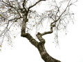 23-DSC00909-