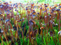 28-DSC01001-