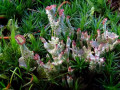 29-DSC01011-