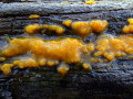 31-DSC01021-