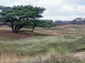 33-DSC01032-