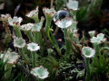 49-DSC00848-
