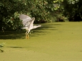 IMG_8933k