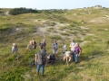 003 Excursie Coepelduynen 6  juli 2018