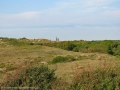 IMG_7344b