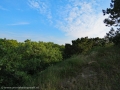 IMG_7349b