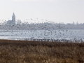 _MG_8457a