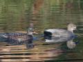 02-DSC08733-