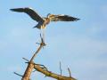 03-DSC08740-