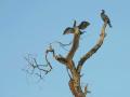 04-DSC08764-