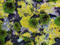 05-DSC08939-