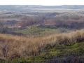 06-DSC08941-