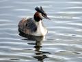 13-DSC09092-