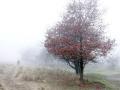18-DSC09252-